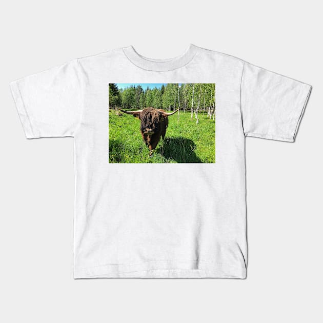 Scottish Highland Cattle Bull 2416 Kids T-Shirt by SaarelaHighland